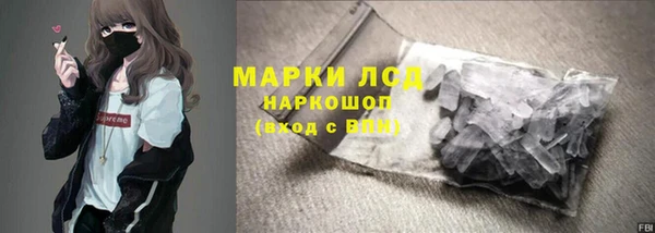 стаф Ладушкин