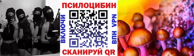Галлюциногенные грибы мицелий  купить наркотики сайты  Надым 