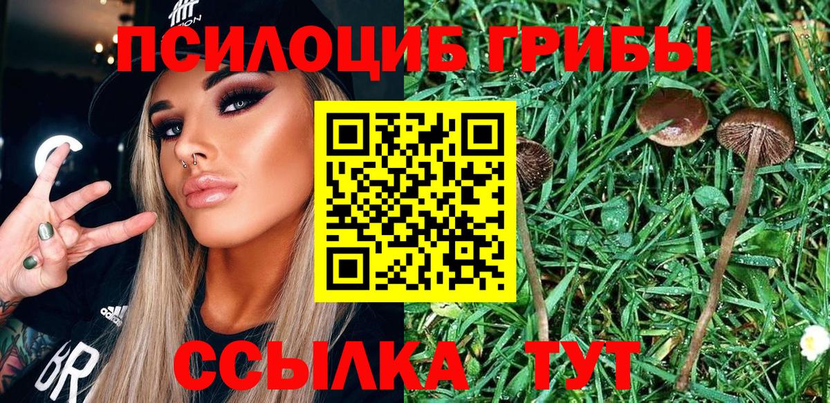 Псилоцибиновые грибы мицелий  Надым 